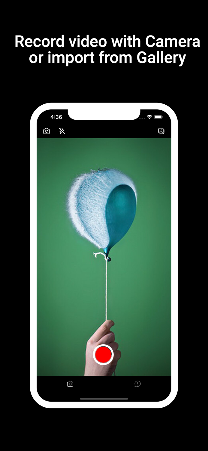 Reversed Play Video Back