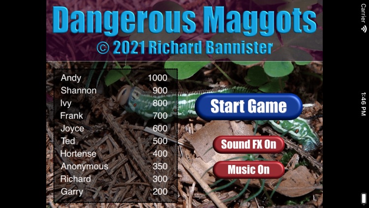 Dangerous Maggots