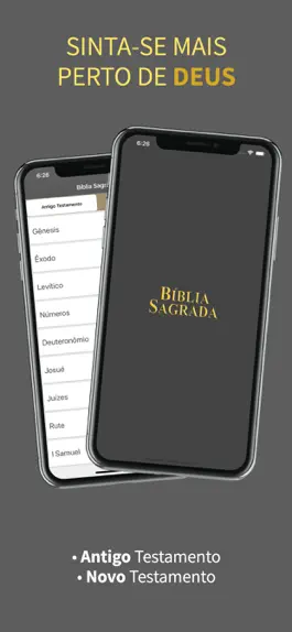 Game screenshot Bíblia Evangélica mod apk