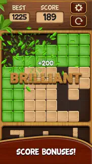 block puzzle blast* iphone screenshot 2