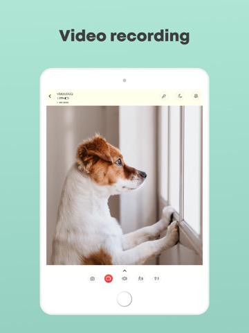 Dog monitor Doggyのおすすめ画像10