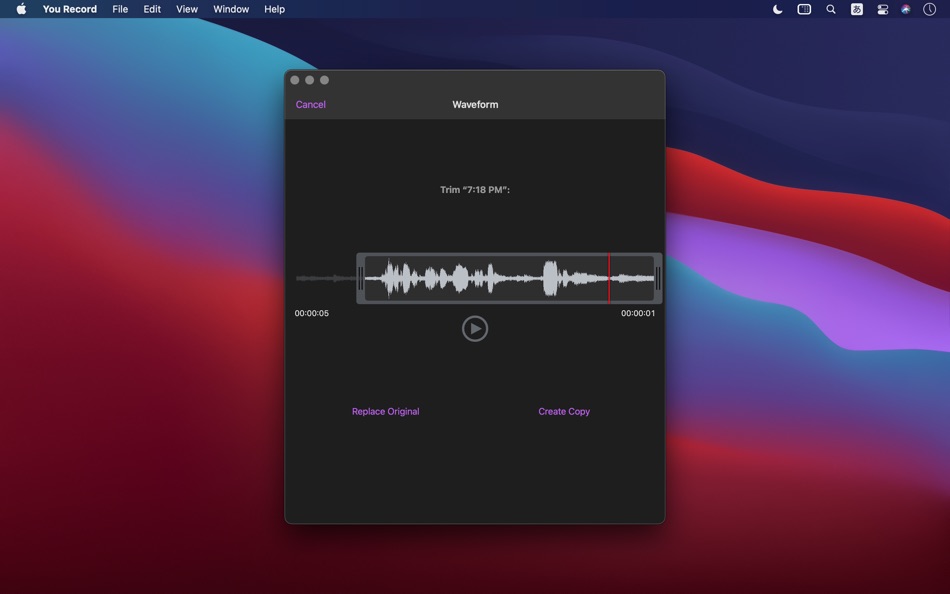 #4. You Record Pro (macOS) By: Eval'das Sichyunas