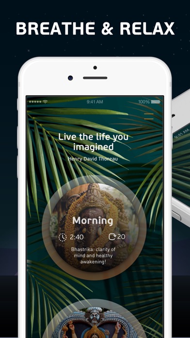Zen: antistress prana breathe Screenshot