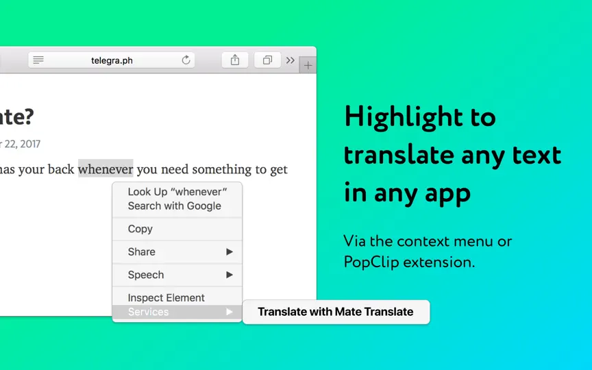 Mate: Universal Tab Translator iPhone-skjermbilde 4