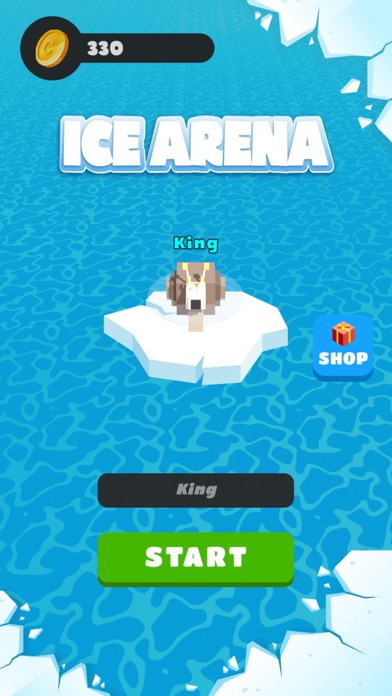 Ice Arena Screenshot