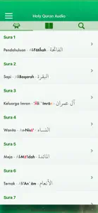 Quran Audio Pro in Indonesian screenshot #1 for iPhone