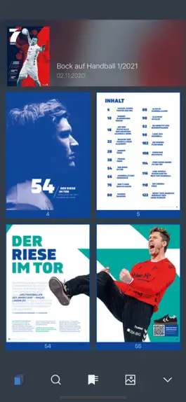 Game screenshot Bock auf Handball - Magazin apk