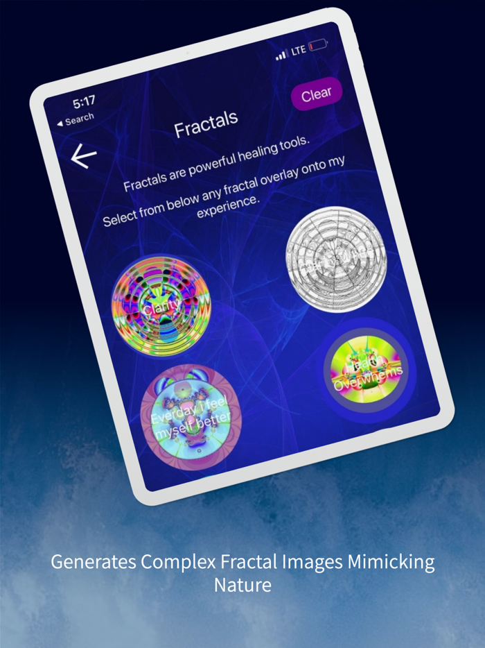 Insight Quanta Capsule