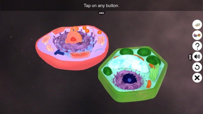 Screenshot #1 pour Prokaryotic & Eukaryotic cell