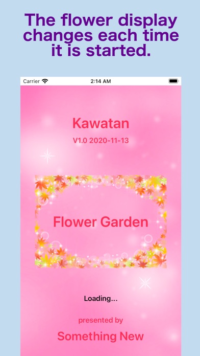 Flashcards - Flower Screenshot