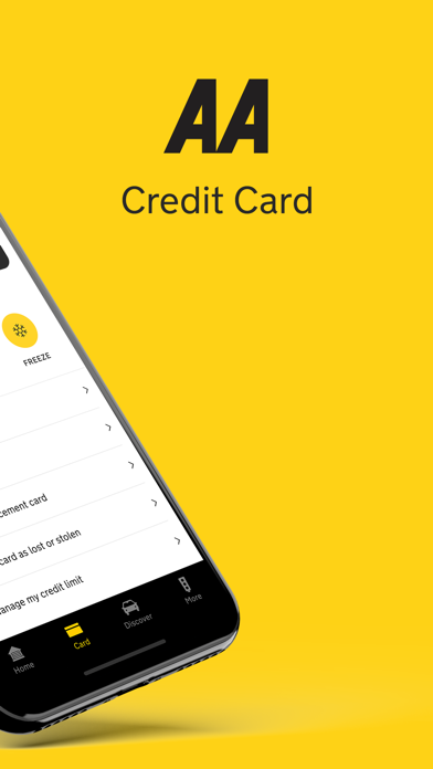 AA Credit Card Screenshot
