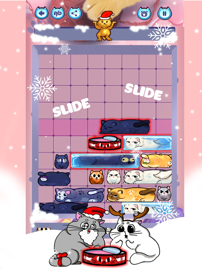 Slide Puzzle Block Mind Games