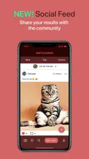 cat scanner iphone screenshot 4