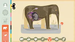 mammals by tinybop iphone screenshot 3