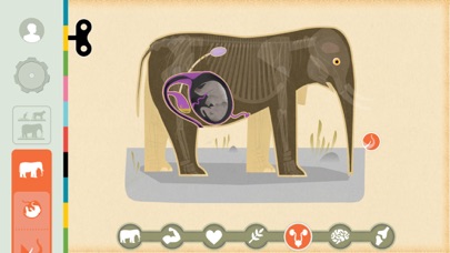 Mammals by Tinybop Screenshot