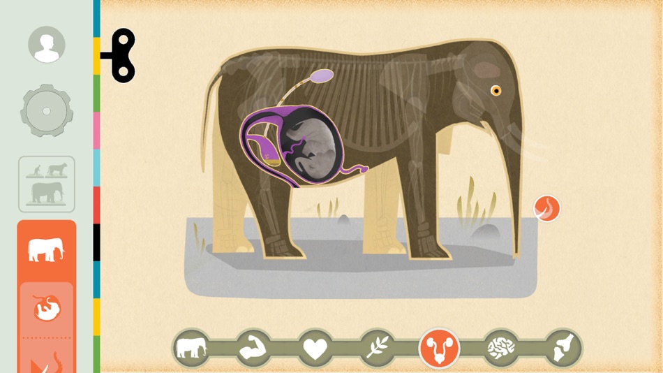 #3. Mammals by Tinybop (iOS) 由: Tinybop Inc.
