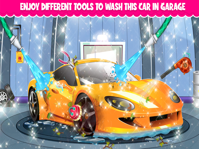 Animal Car Wash Station