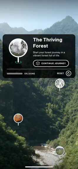 Game screenshot WWF Forests mod apk