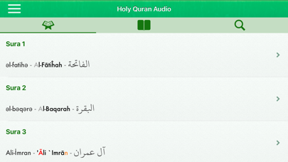 Quran Audio Arabic,Azerbaijaniのおすすめ画像7