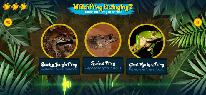 The Singing Frogs