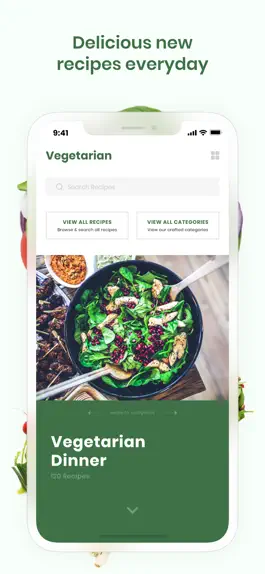 Game screenshot Vegetarian Recipes & Meals mod apk