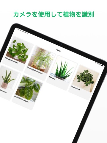 Plant ID - 植物を識別のおすすめ画像2