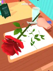 florist life ipad images 1