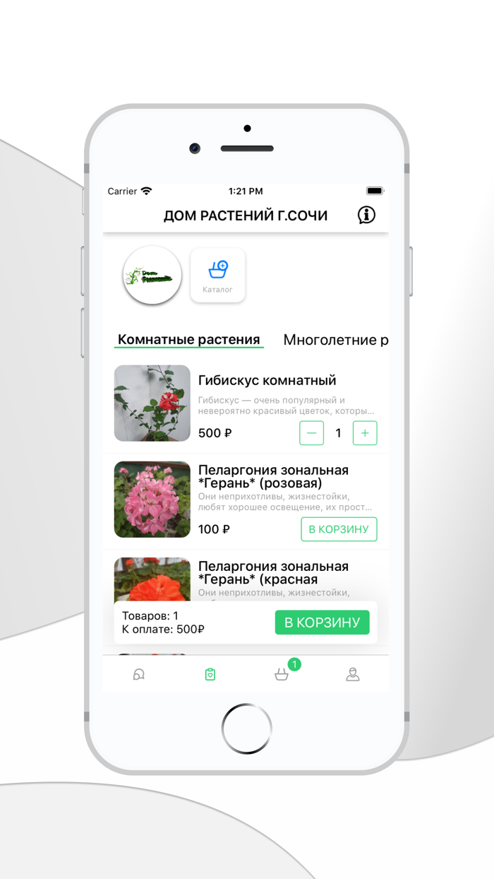 Дом растений г.Сочи