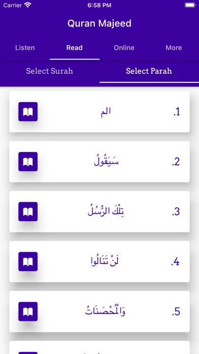 Quran Majeed Offline Screenshot