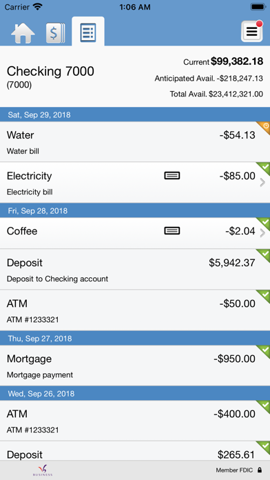 VisionBank Business Banking Screenshot