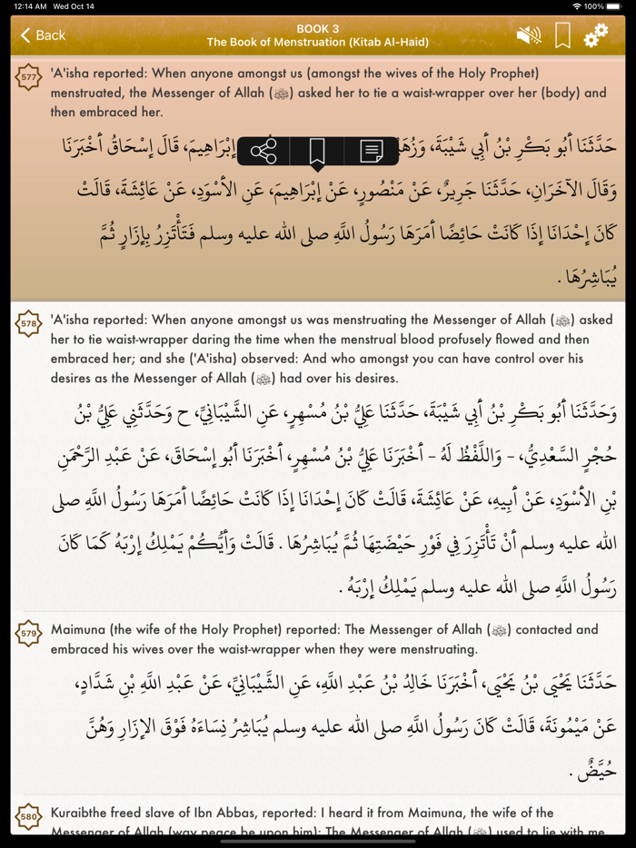 Sahih Muslim Audio in English