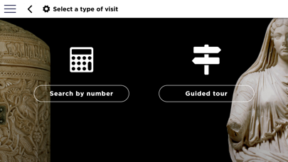 Museo Arqueológico Nacional Screenshot