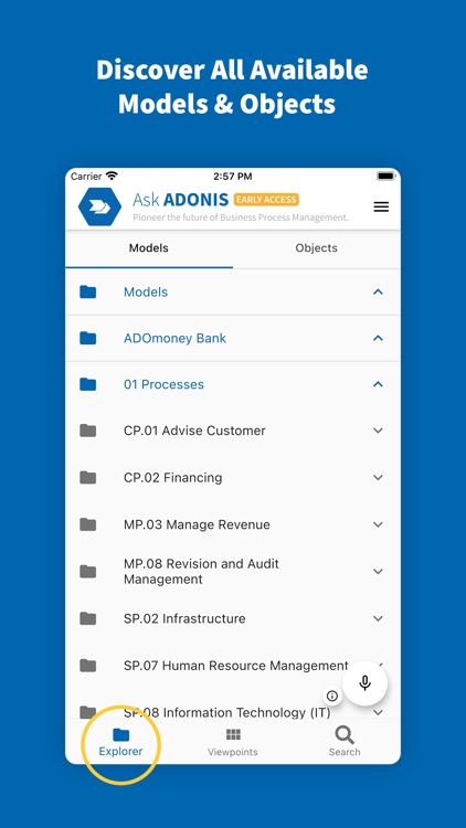 Ask ADONIS (Early Access)