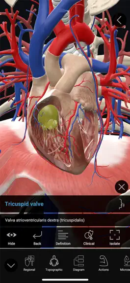 Game screenshot 3D Organon Anatomy Enterprise apk