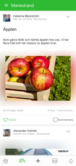 Game screenshot LocalLife apk