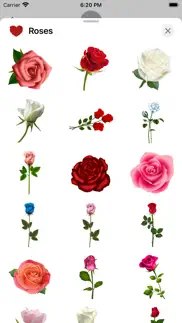 roses to love stickers problems & solutions and troubleshooting guide - 1