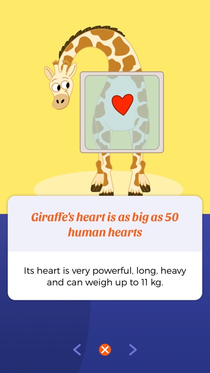 Quizlie screenshot-5