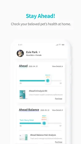 Game screenshot Ahead: Pet Healthcare Solution mod apk
