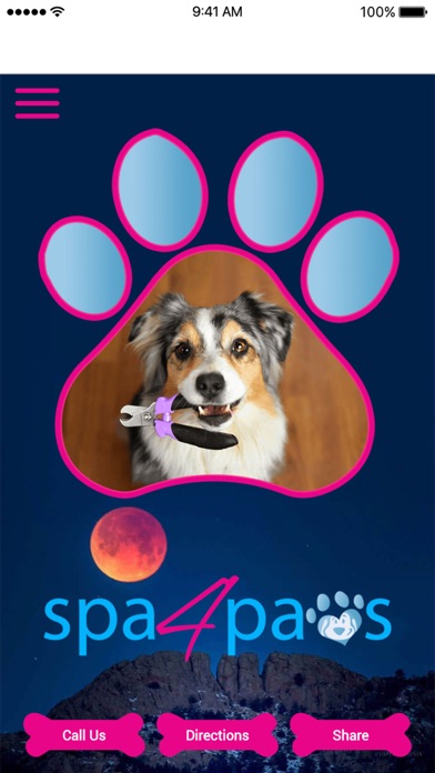 Spa 4 Paws CO Screenshot