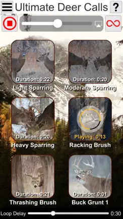 Ultimate Deer Calls iPhone image 4