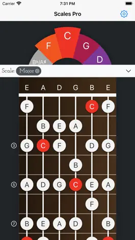 Game screenshot Scales Pro - Chords & Scales apk