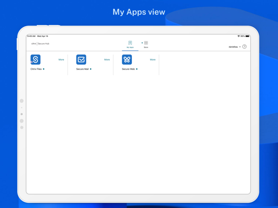 Citrix Secure Hub iPad app afbeelding 3