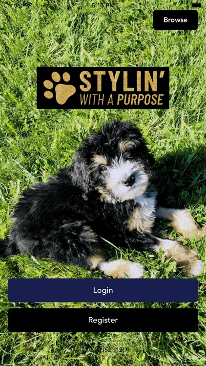 Stylin with a Purpose