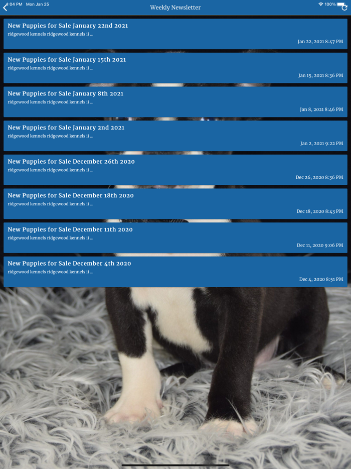 Ridgewood Puppies II