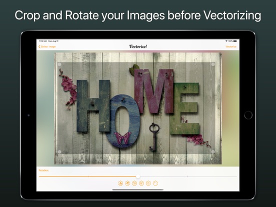 Vectorize! iPad app afbeelding 4