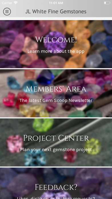 JL White Fine Gemstones Screenshot