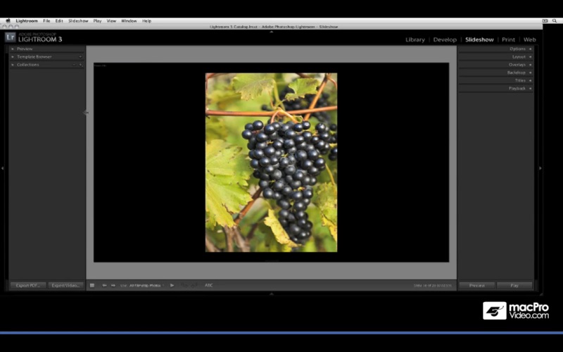 mpv course for lightroom 3 problems & solutions and troubleshooting guide - 2