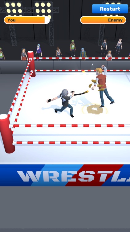 Wrestling 3D!