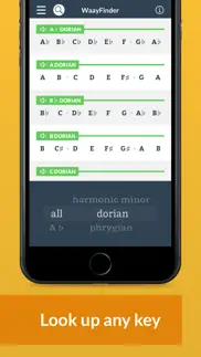 waayfinder: music key finder iphone screenshot 4