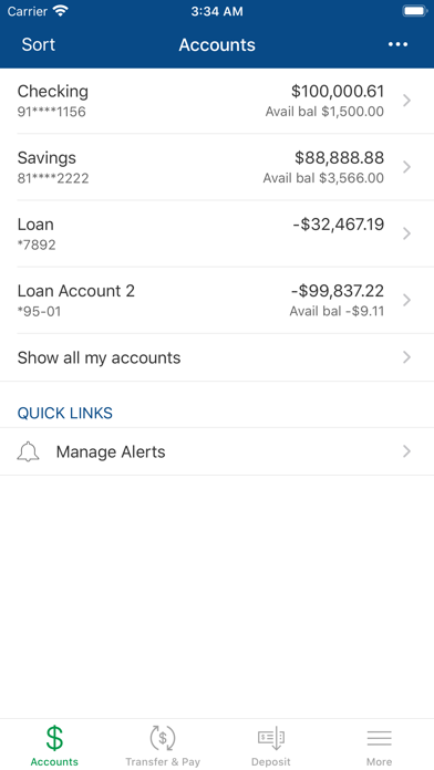 Austin Capital Bank Screenshot